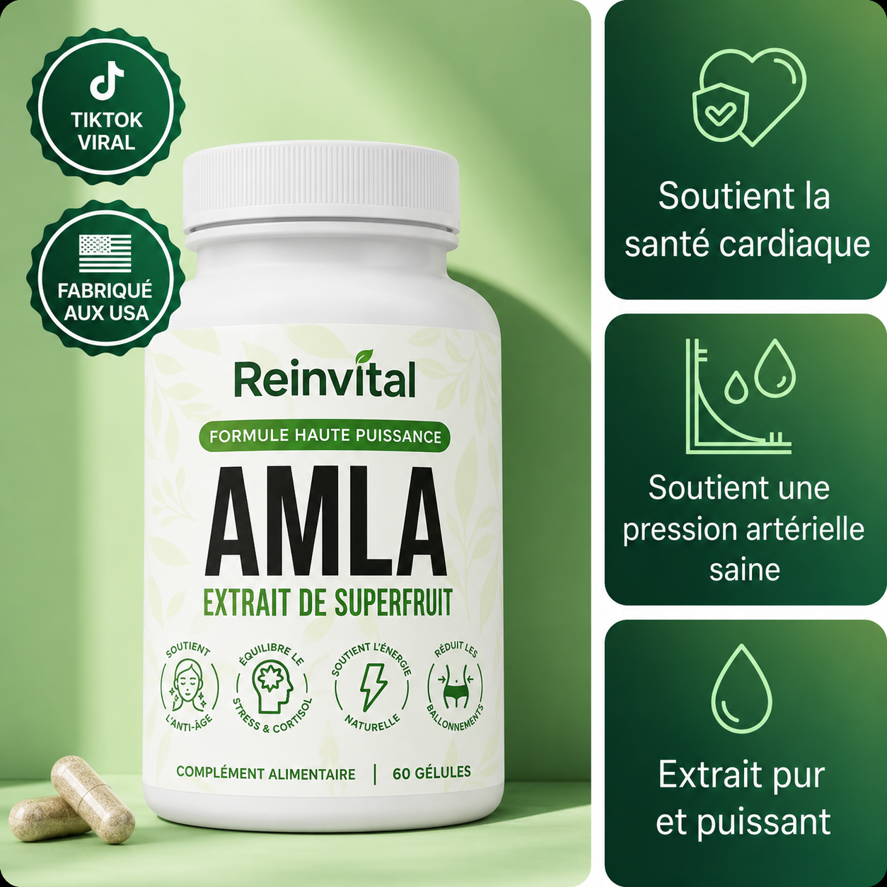 Reinvital Amla – L’Extrait de Superfruit : Circulation, Cœur & Vitalité