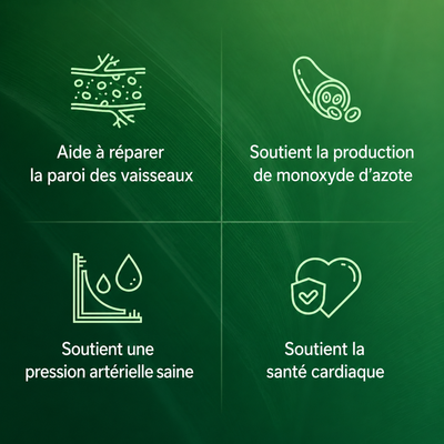 Reinvital Amla – L’Extrait de Superfruit : Circulation, Cœur & Vitalité