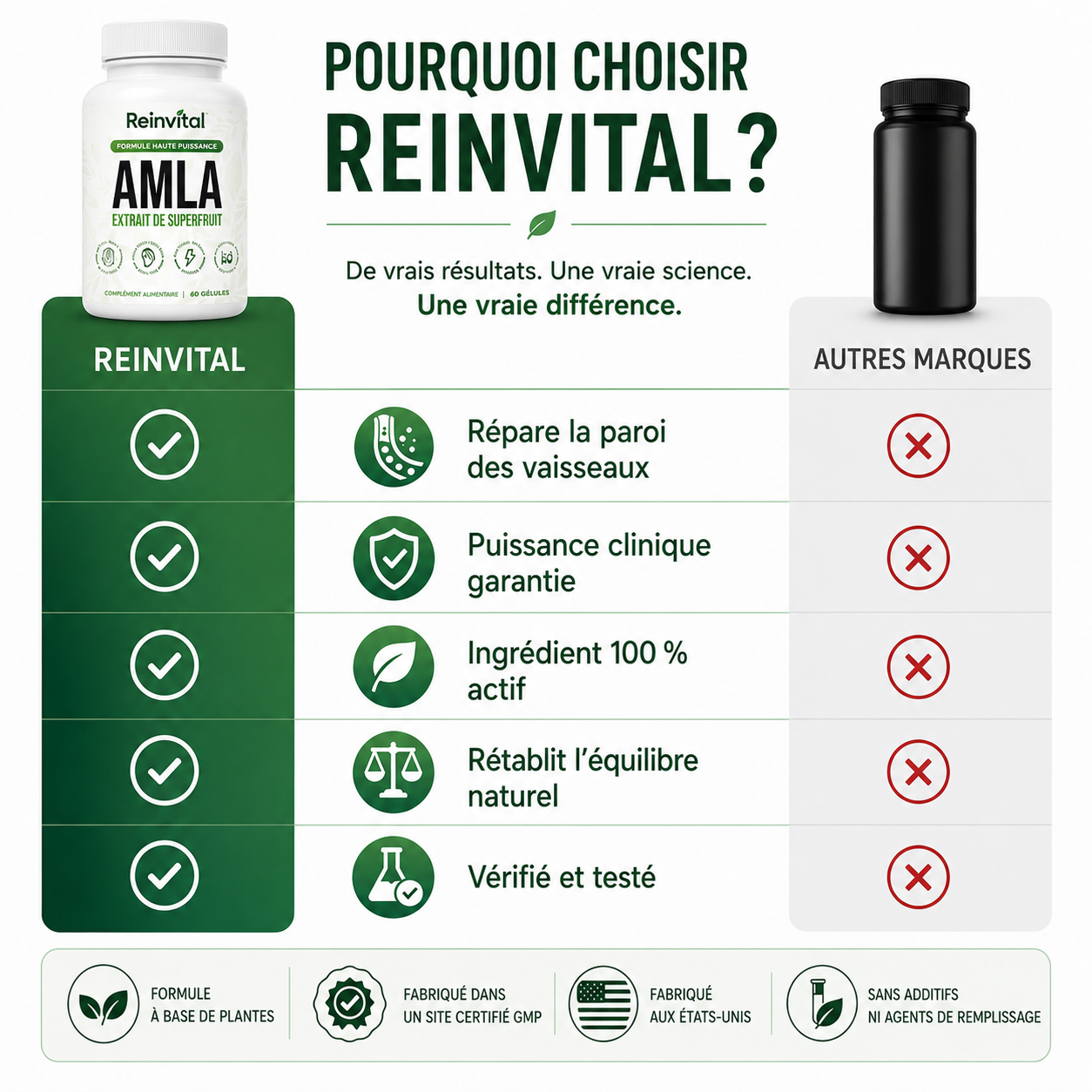 Reinvital Amla – L’Extrait de Superfruit : Circulation, Cœur & Vitalité