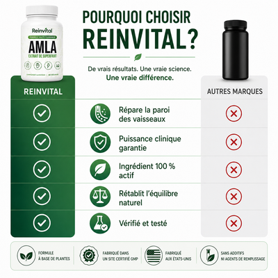 Reinvital Amla – L’Extrait de Superfruit : Circulation, Cœur & Vitalité