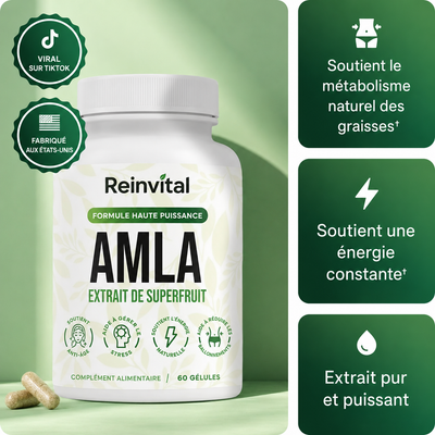 Reinvital Amla – L’Extrait de Superfruit