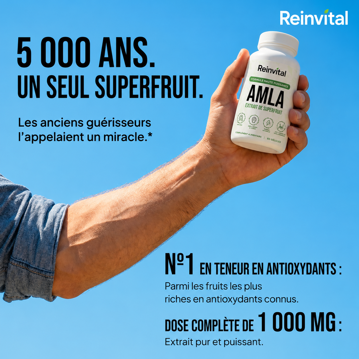 Reinvital Amla – L’Extrait de Superfruit