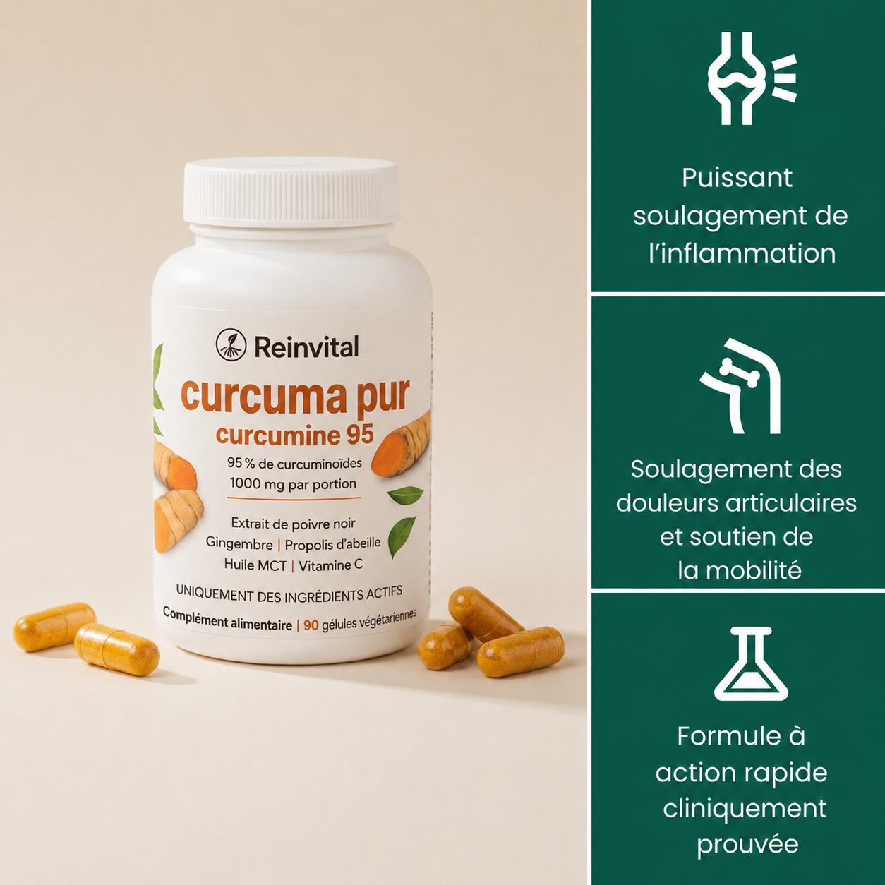 Curcuma Curcumine 1000 mg — 95% Curcuminoïdes, Poivre Noir & MCT