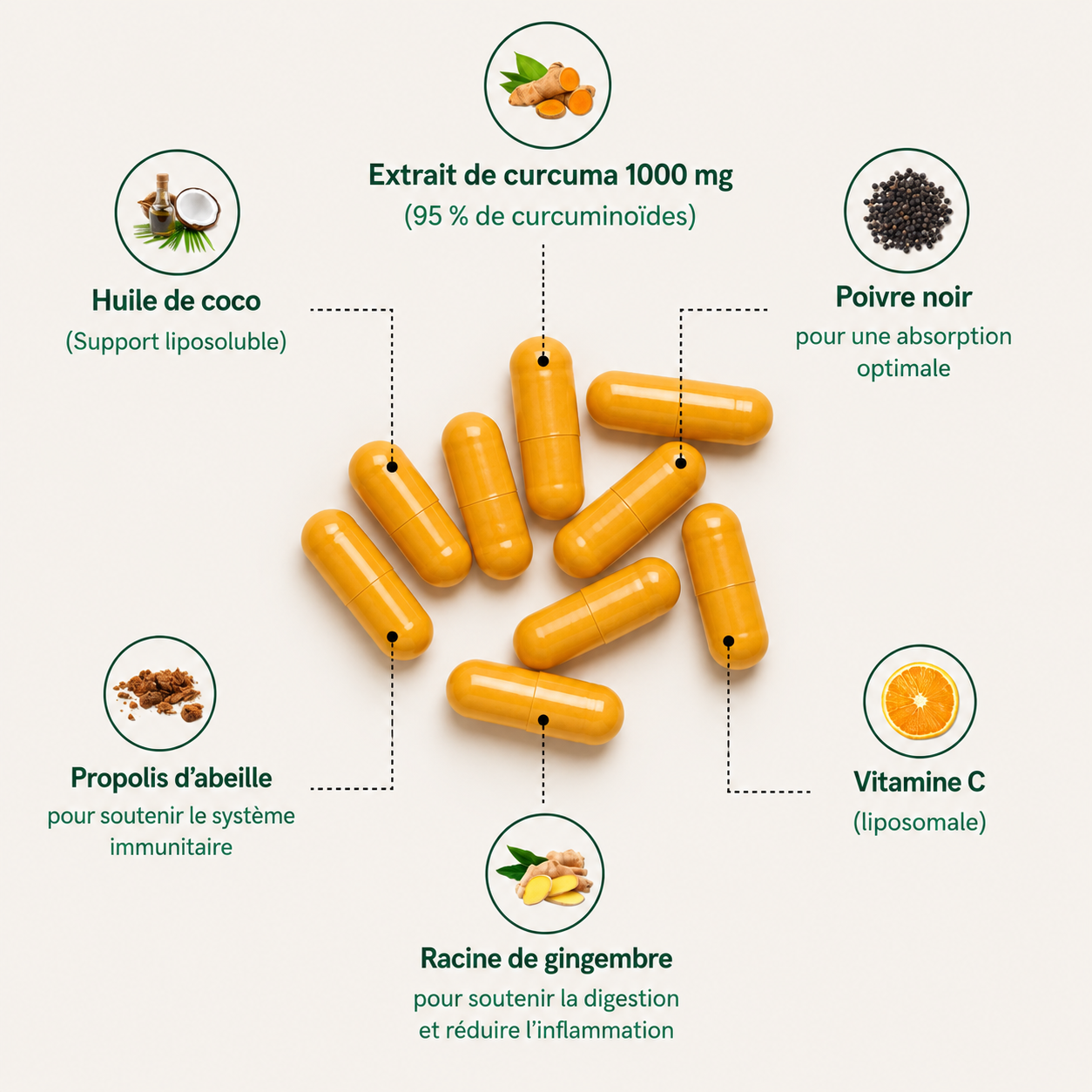 Curcuma Curcumine 1000 mg — 95% Curcuminoïdes, Poivre Noir & MCT