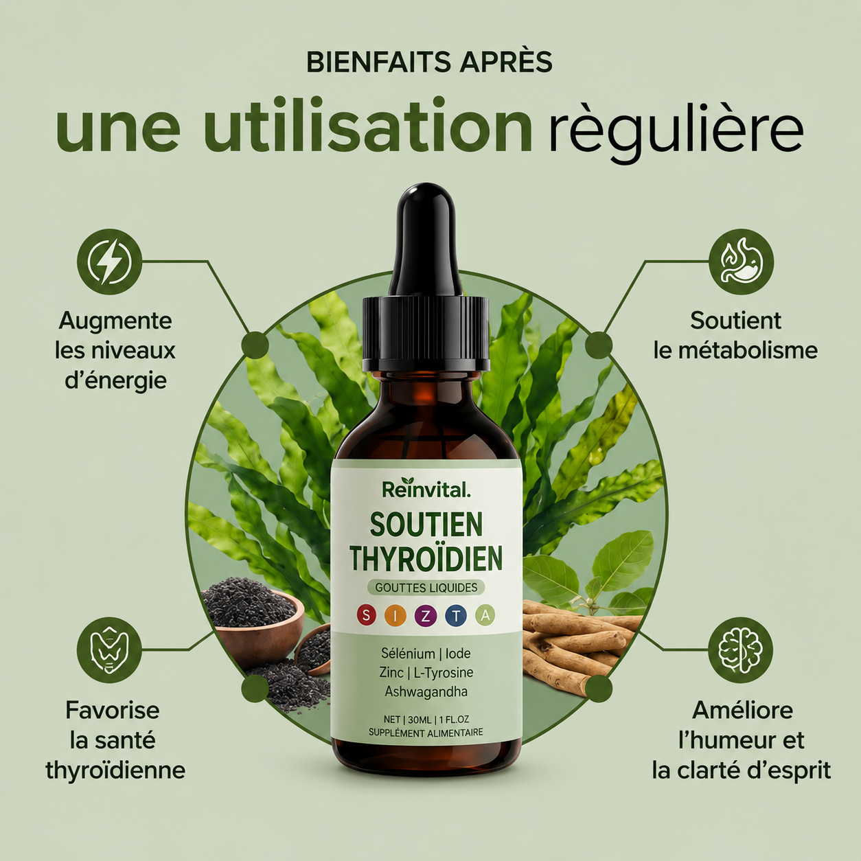 ReinVital Support Thyroïde