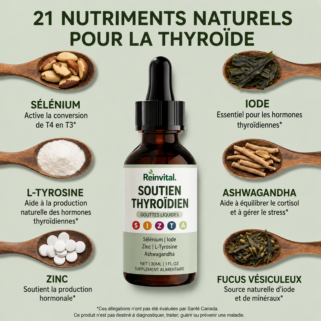 ReinVital Support Thyroïde