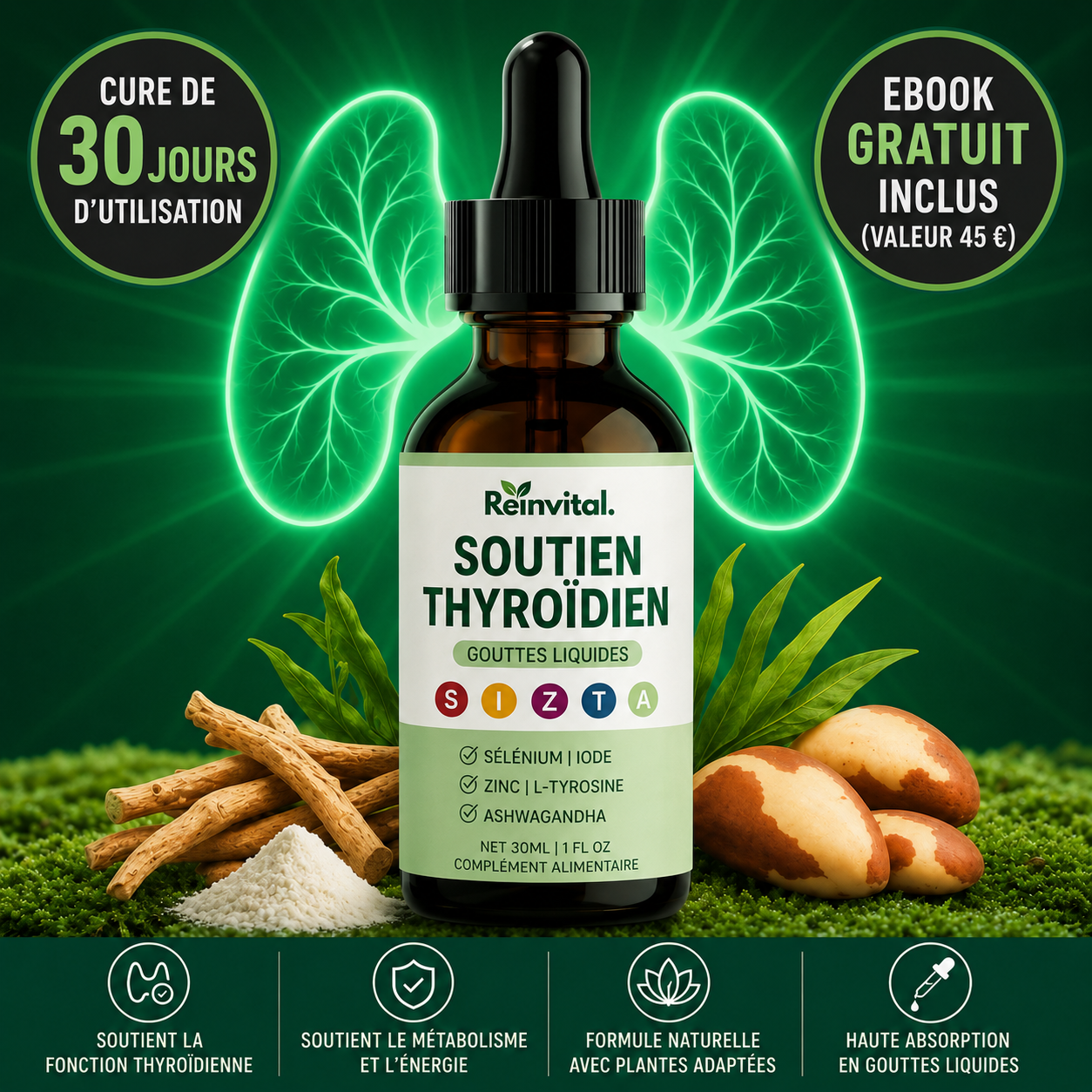 ReinVital Support Thyroïde