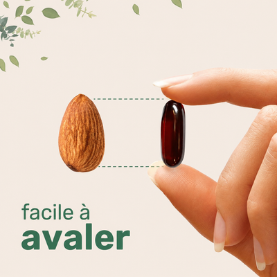Reinvital™ : Capsules Anti-Chute DHT — Protection Double Action Cheveux